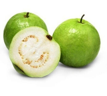 Guava