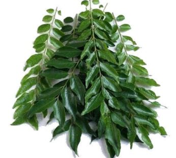 కరివేపాకు per PCS (SKU: 0461) (Curry Leaves)
