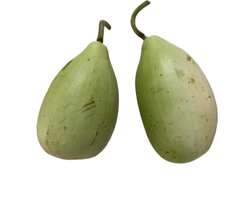 అనపకాయలు per Kg (SKU: 0586) (Bottle Gourd)