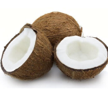 కొబ్బరి కాయలు per PCS (SKU: 0528) Coconut