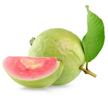 DT Pink Guava