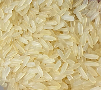 IR 64 Raw Rice