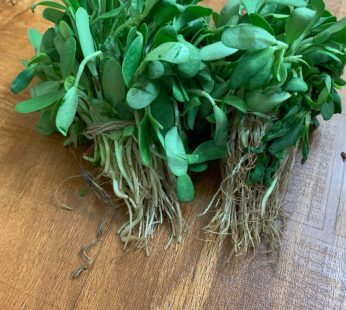 మెంతి కూర (Menthi Leaves)