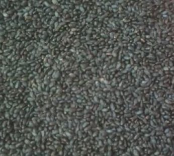 Basil Seeds 50 gm