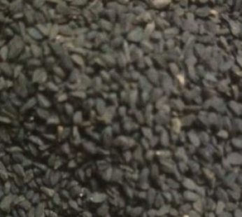 Black Cumin 50 gm