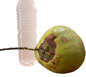 Tender Coconut 800 ml