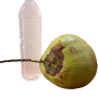 Tender Coconut 800 ml