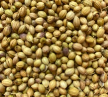 Coriander Seeds 50 gm