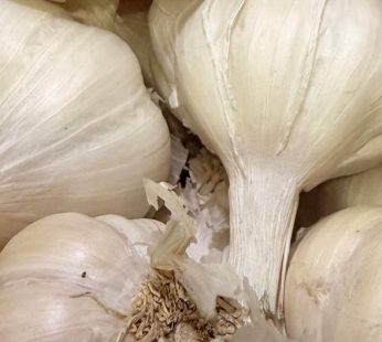 Garlic 250 gm