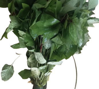 గోంగూర per PCS (SKU: 0583) (Gongura) (Sorrel Leaves)