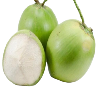 లేత కొబ్బరి కాయలు per PCS  (SKU: 1003) (Tender Coconut)