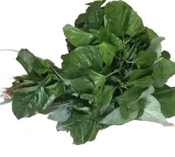 తోటకూర per PCS (SKU: 0582) (Totakura) (Amaranth Leaves)
