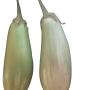 తెల్ల ఒంకాయలు (Brinjal Big) (SKU: 513)